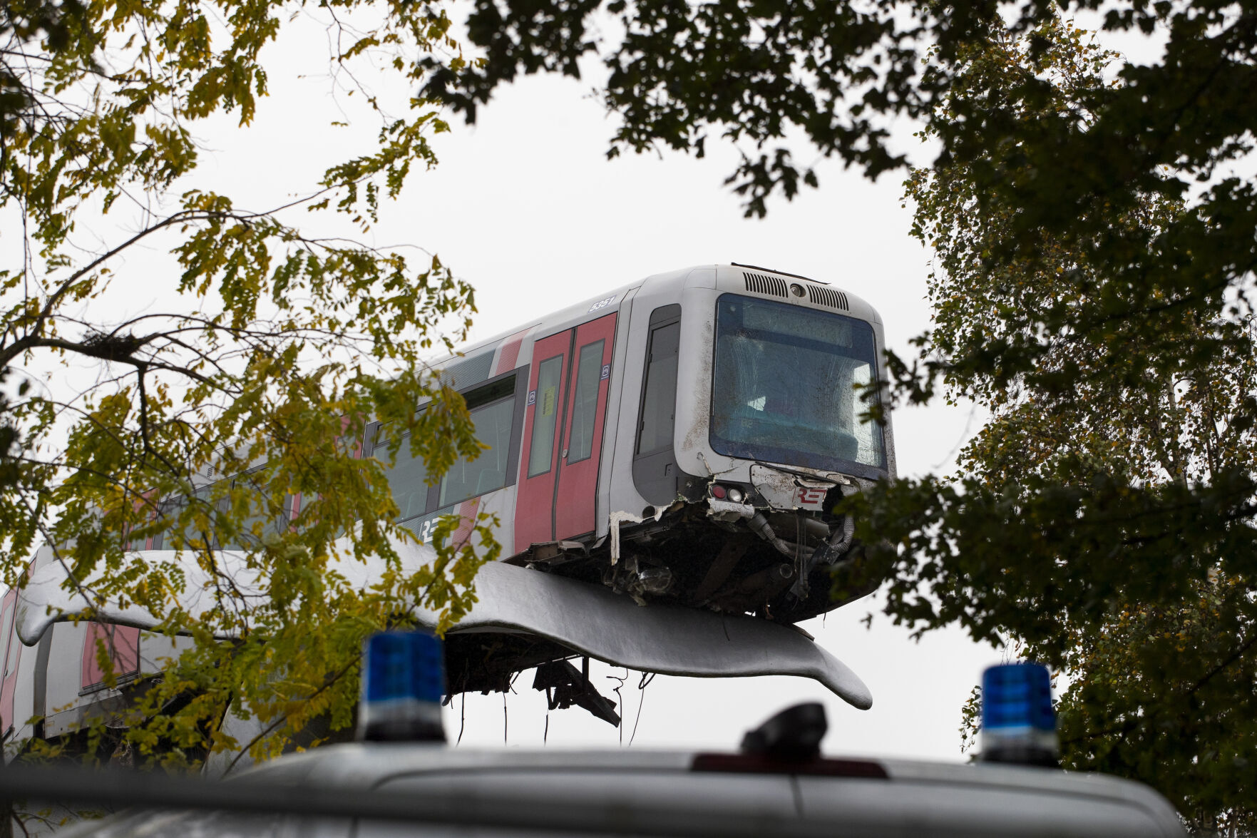Netherlands Metro Whale